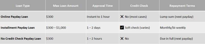 $300 payday loan online